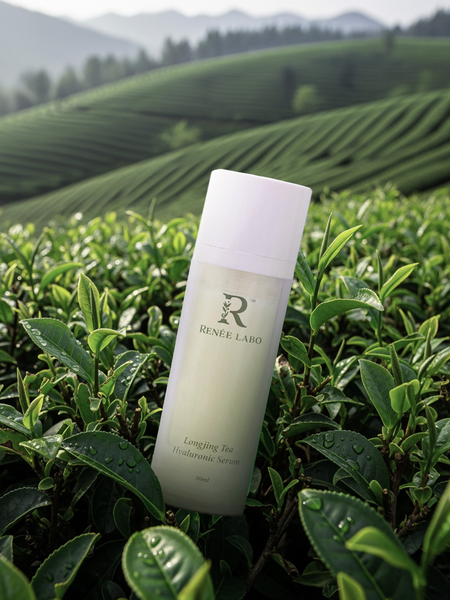 Longjing Tea Hyaluronic Serum